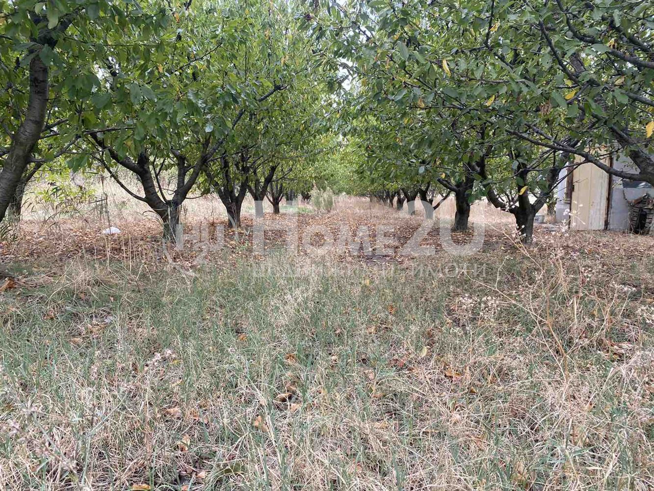 Овощна градина в с. Златитрап 6399 кв.м.